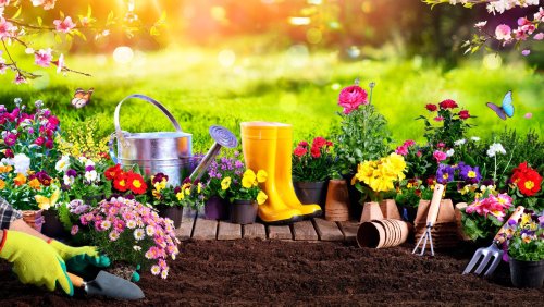 5 Must-Have Gardening Tools For Beginners
