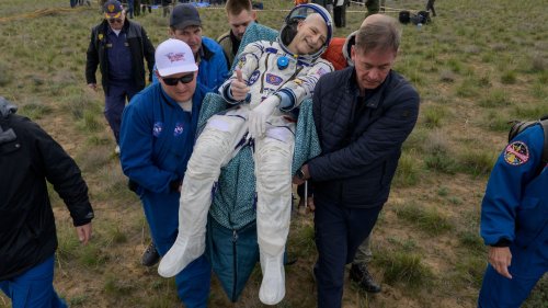 Spaceflight: Astronaut Don Pettit Returns to Earth, Hopes for Future Trips