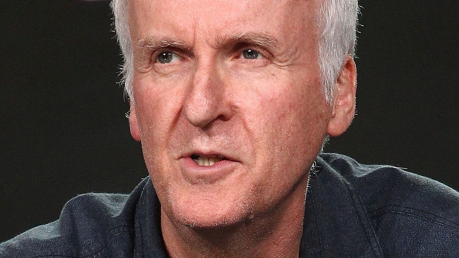 James Cameron's Brutally Honest Message For Avatar Haters  