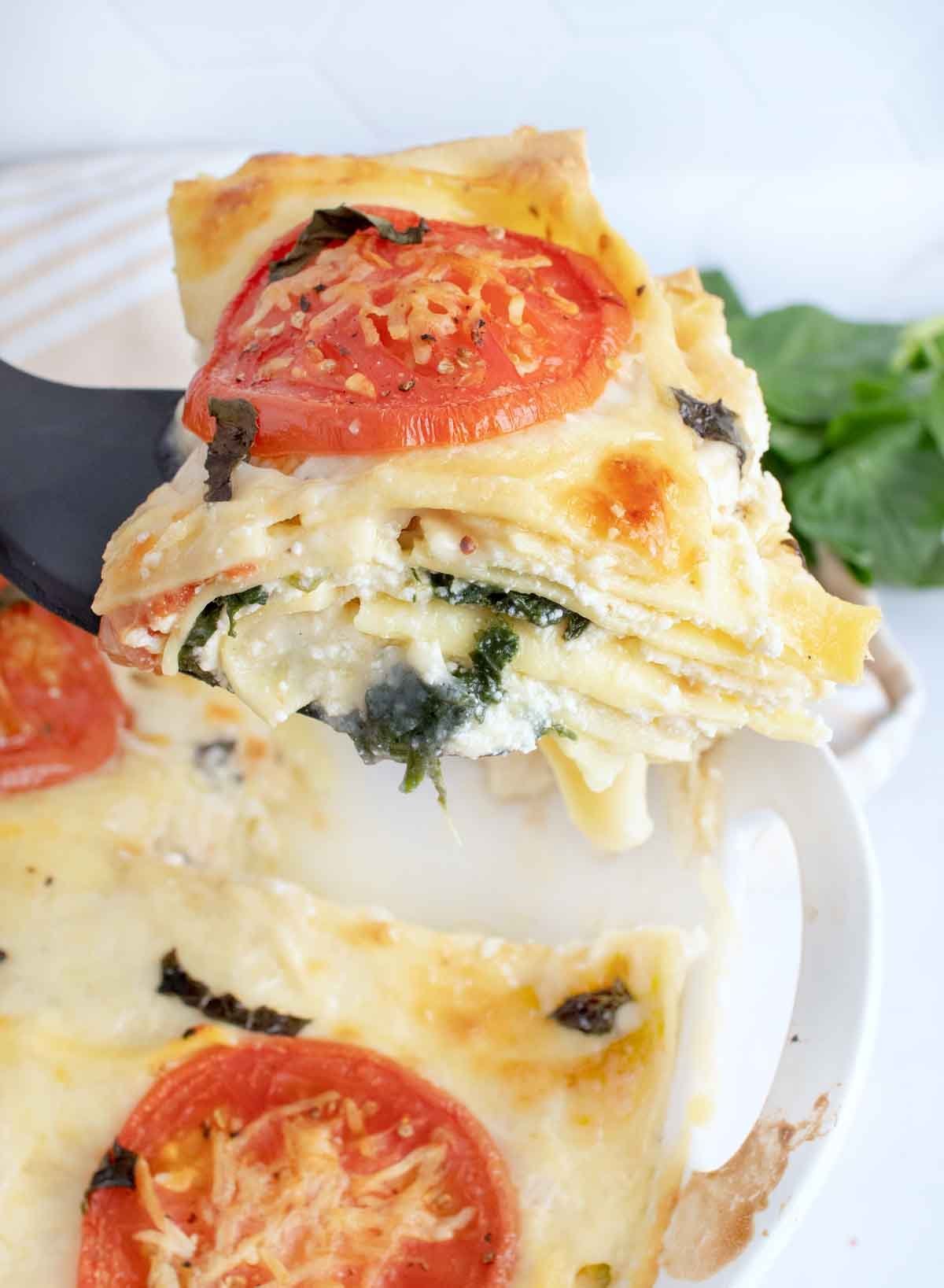 10 Delicious Vegetarian Recipes That Help You to Not Miss the Meat