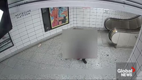 Video appears to show suspect violently stealing purse from woman at Toronto subway station