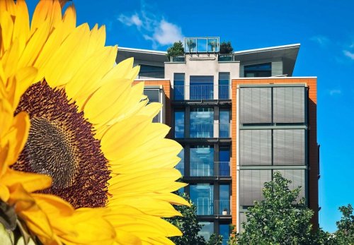 10 Innovative Ways to Make Your Home Energy Efficient & Less Costly to Manage