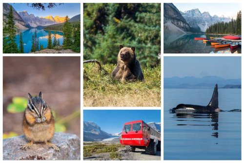 Rundreise Westkanada - die absoluten Highlights