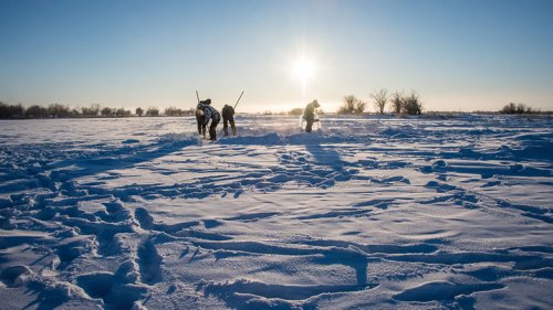 Scientists revive 48,500-year-old 'zombie virus' in frozen Siberia lake