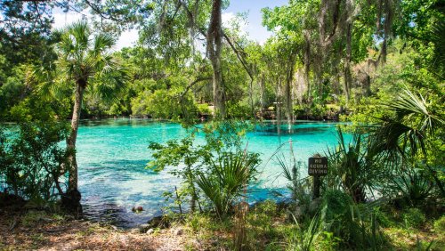 Swim In A Hidden Spring With Some Of The Clearest Water In All Of Florida