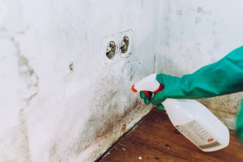 Tackle damp in your home this winter