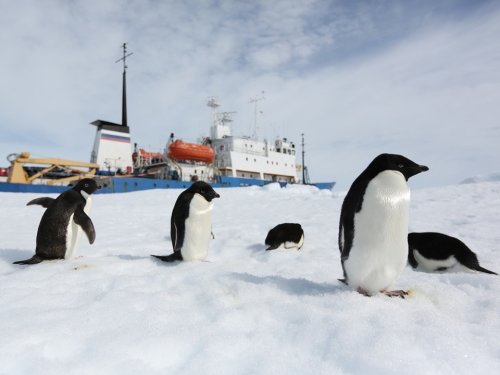 Rescued scientists bring back a warning from the Antarctic