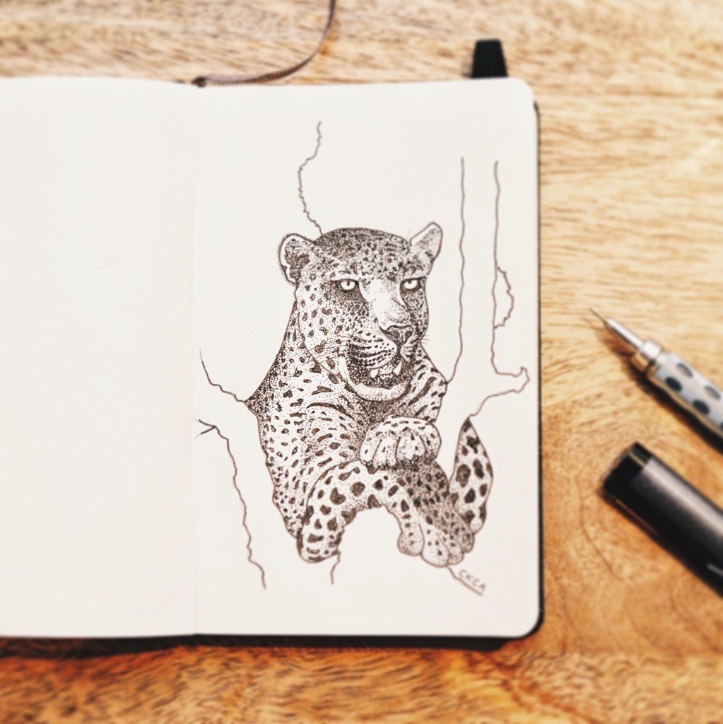 Sketching Studies cover image