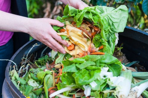 The FoodPrint Guide to Composting