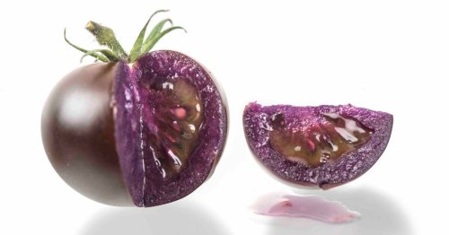 Genetically modified purple tomato approved by US regulators
