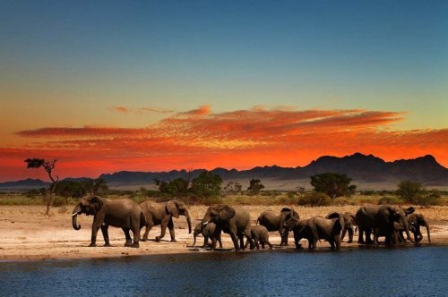 Magazine - Travel -M.E. & Africa