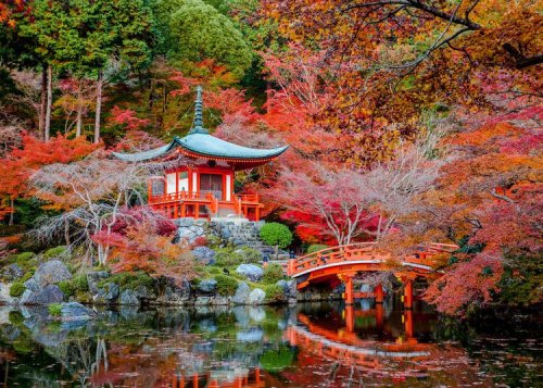 An Expert View On How To Best Experience Japanese Gardens