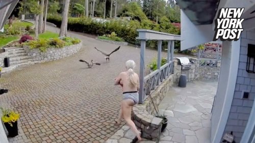 Topless mom in her undies rescues pet goose from bald eagle in shocking video