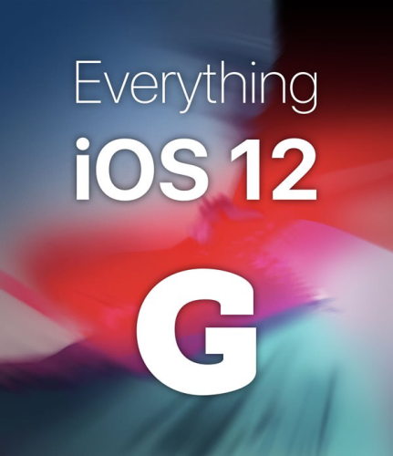 Everything iOS12 cover image