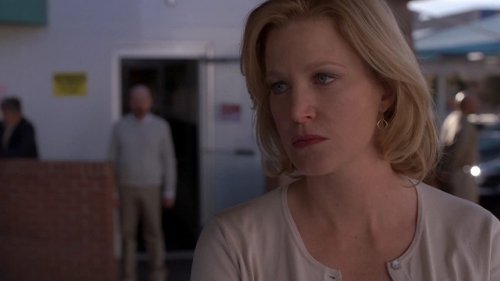 How Anna Gunn's Career Went Downhill After Breaking Bad
