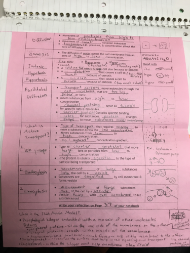 Chapter 5-1 Notes