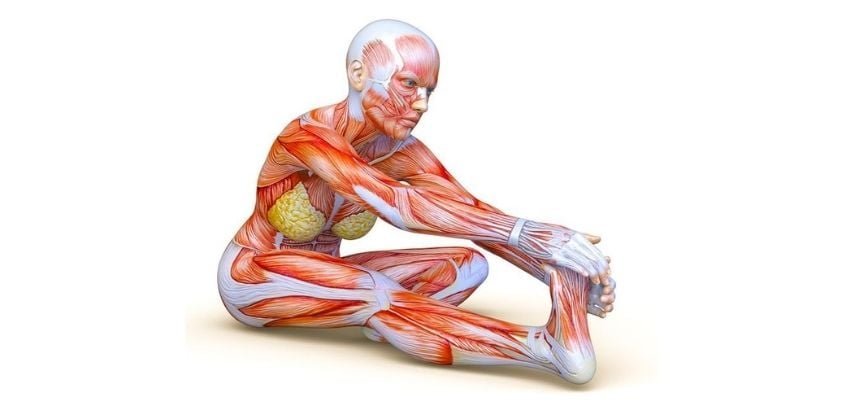 Erase Tension From Head to Toe: 5 Stretches More Effective Than a Massage
