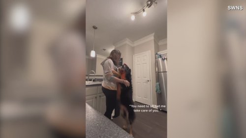 Must-see! This Owner Trained Her Own Service Dog