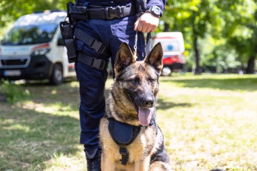How a loophole could let a K9 unit search your car without a warrant