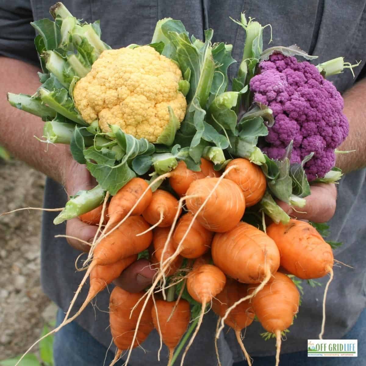 7 Must-Have Resources for Acing Your Gardening Game