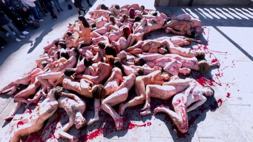 Animal Rights Activists Posed Nude in Barcelona