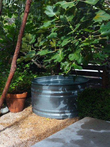We’ll be seeing this money-saving trick in everyone’s yard in 2023