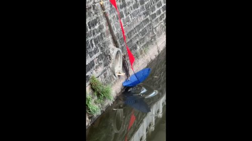 Chinese Child Uses Red Scarf as a Lifeline to Rescue a Kitten that Trapped in Hole in River Bank in Sichuan, China