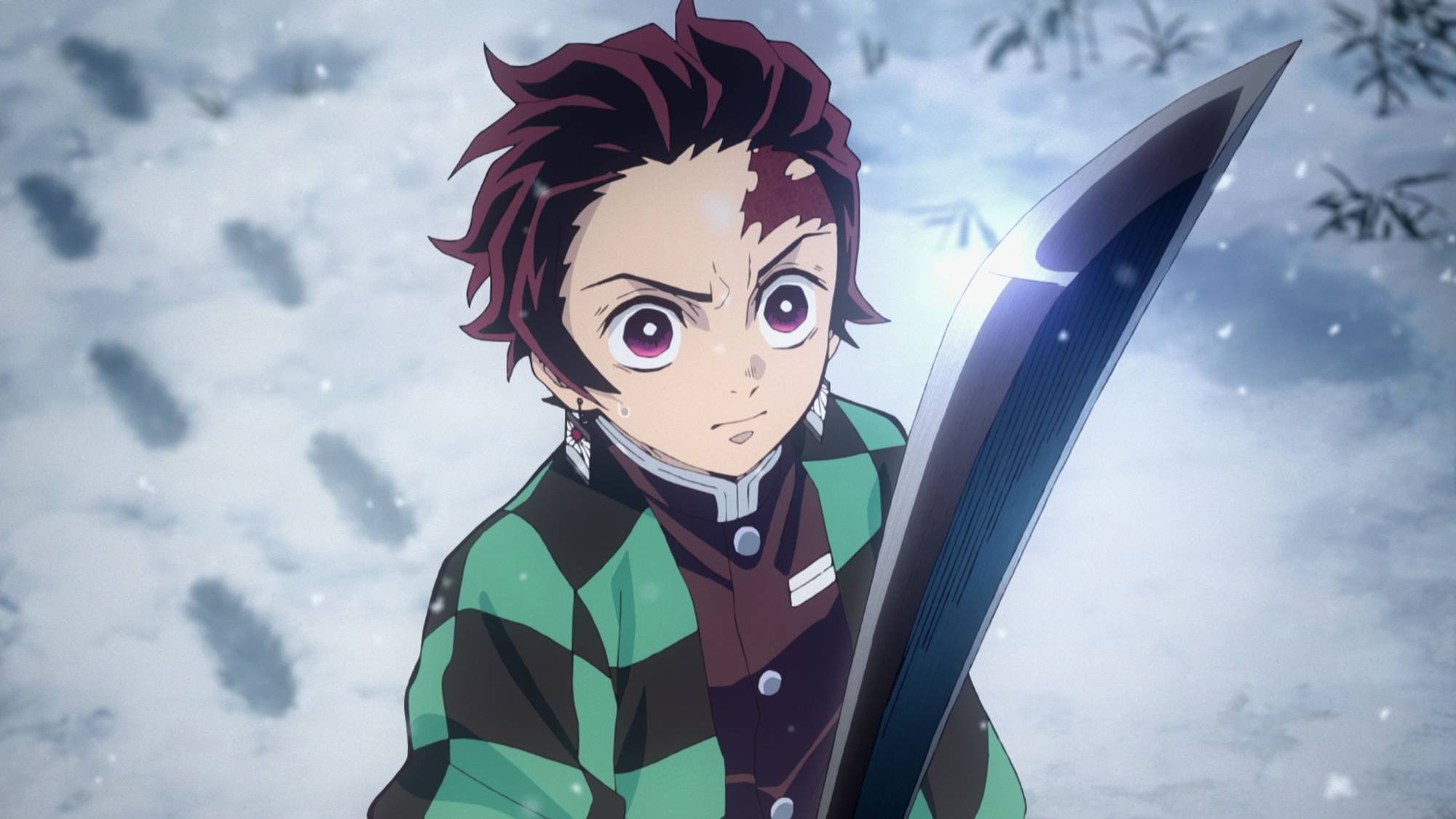 Demon Slayer: Every Character's Age, Height, And Birthday