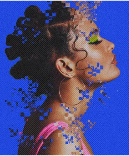 The Face  - cover
