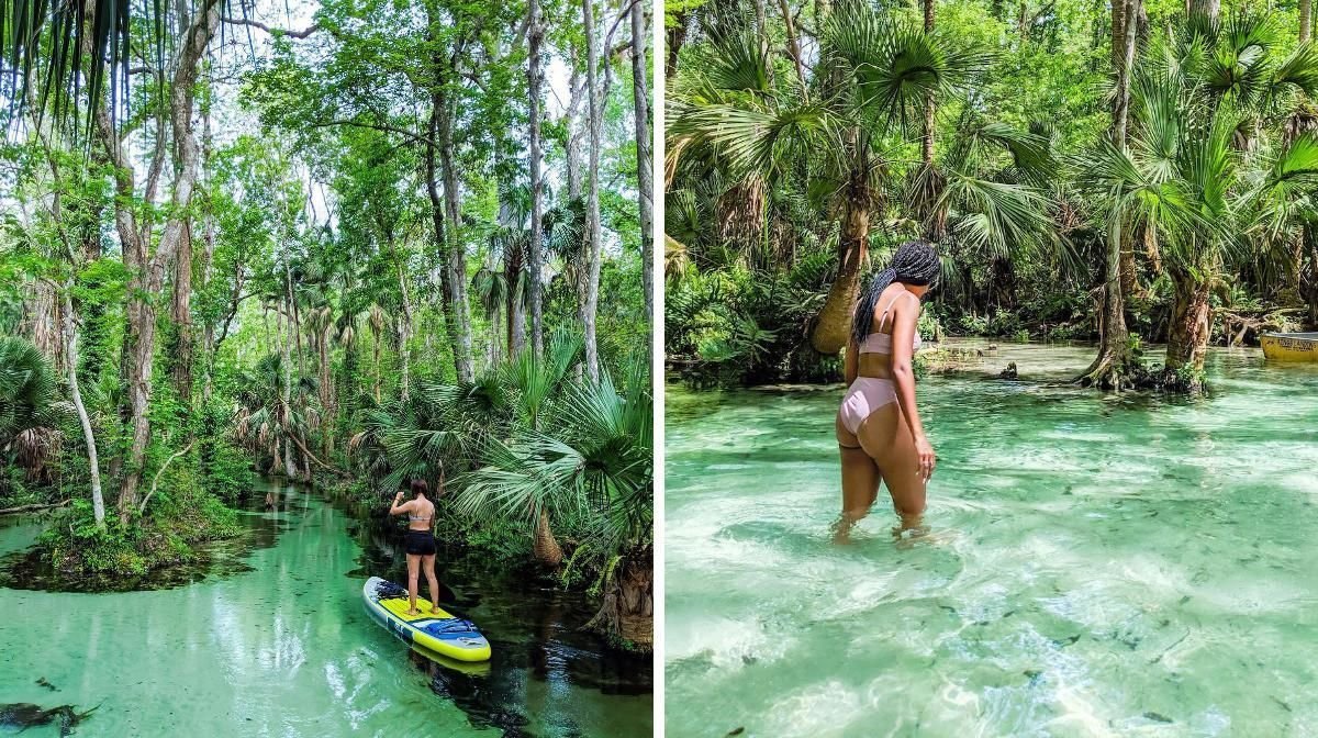6 Clear Swimming Holes Near Orlando Where You Can See All The Way To The Bottom