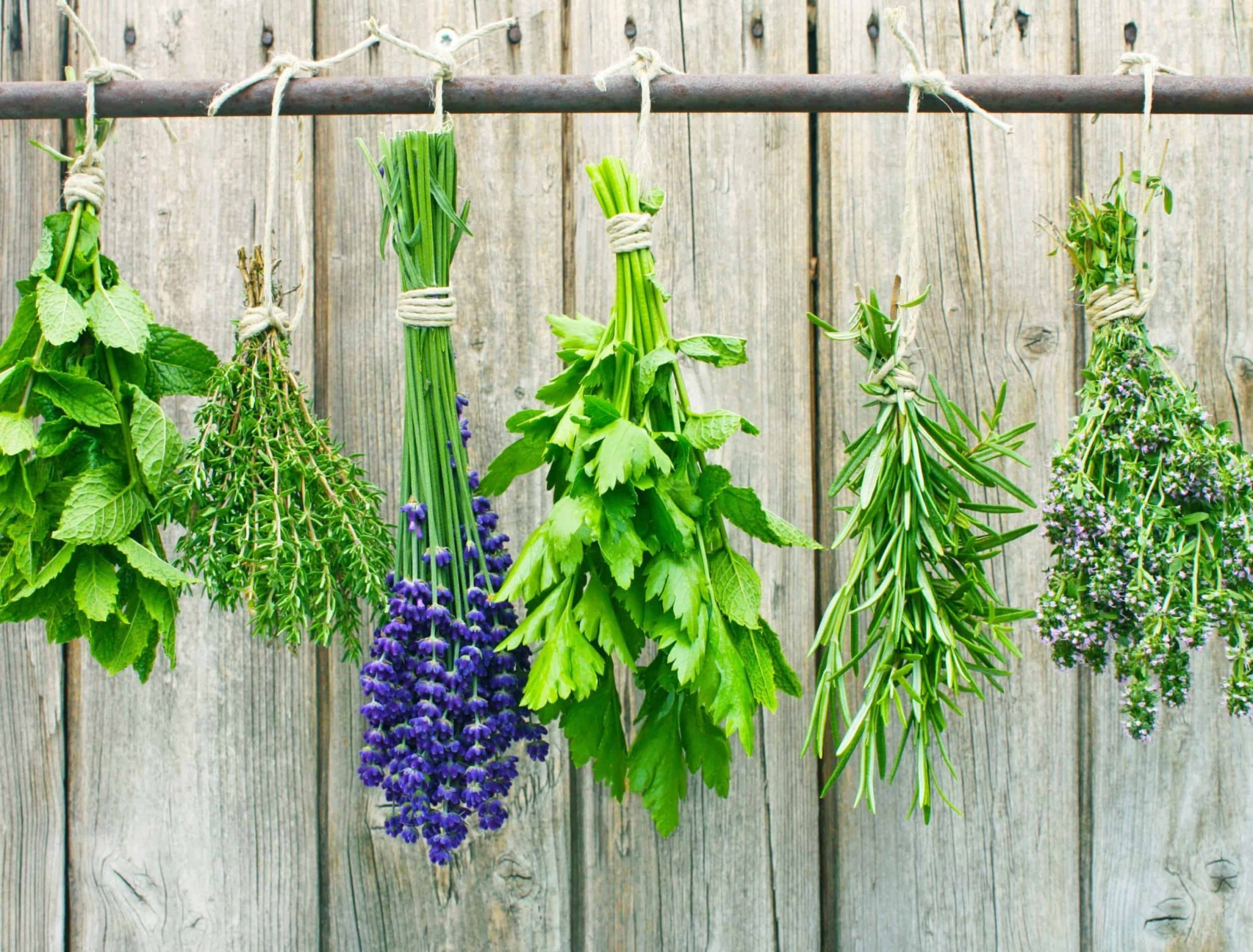 HOW TO STORE FRESH HERBS