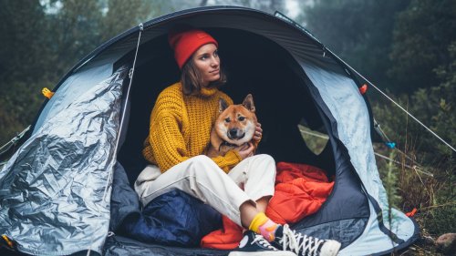 DIY ideas that'll take your camping experience to the next level ...