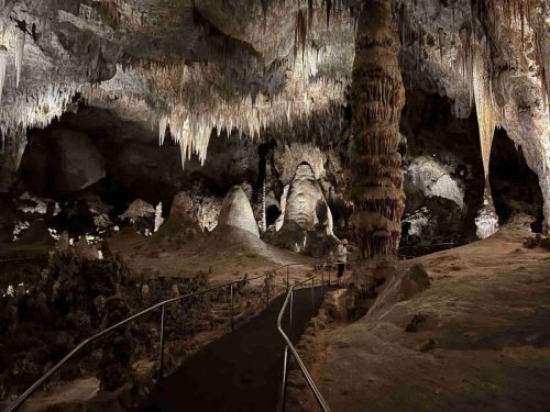 Caves, Bats, and Beauty: Visiting Carlsbad Caverns National Park