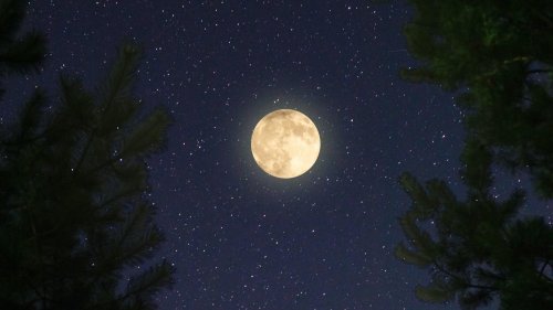 Canada Will Get To See Four Supermoons In 2023 & One Of Them Is Also A Blue Moon