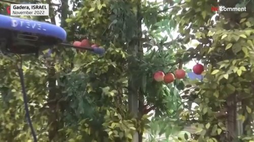 Watch: Flying robots are picking fruit in Israel