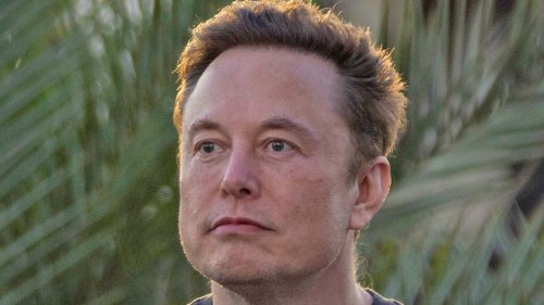 The Elon Musk Saga