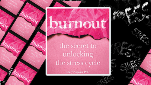 Stress is Inevitable: Burnout is not
