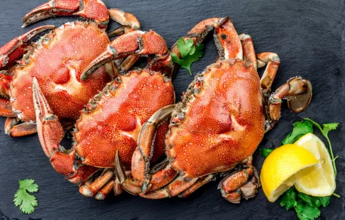 Magazine - PINCH ME! Yummy Crabs, Crawfish & Lobsters