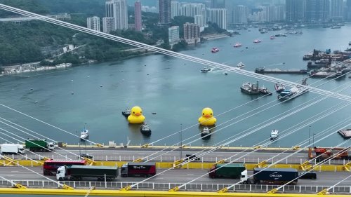 Giant yellow rubber ducks spotted in Hong Kong waters