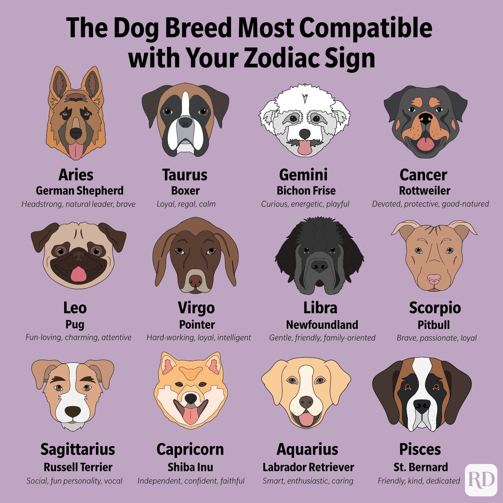 The Best Dog Breed for You, Based on Your Zodiac Sign | Flipboard