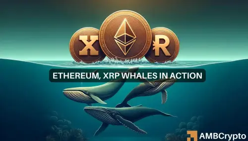 After Ethereum, XRP's collapse, whales start to...
