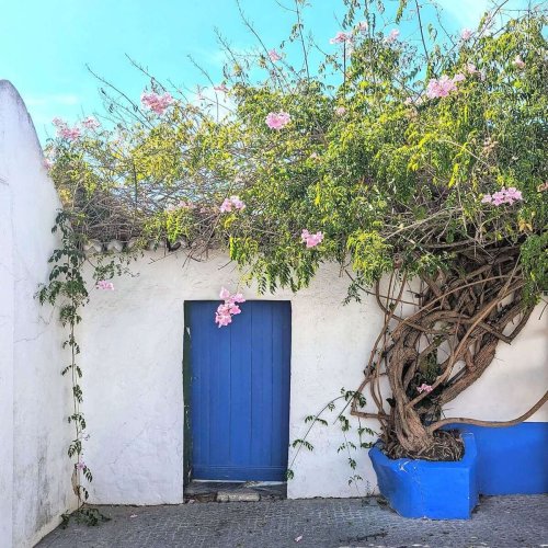 Last Chance to Vote for the Door of the Week! Spring Vibes in Portugal
