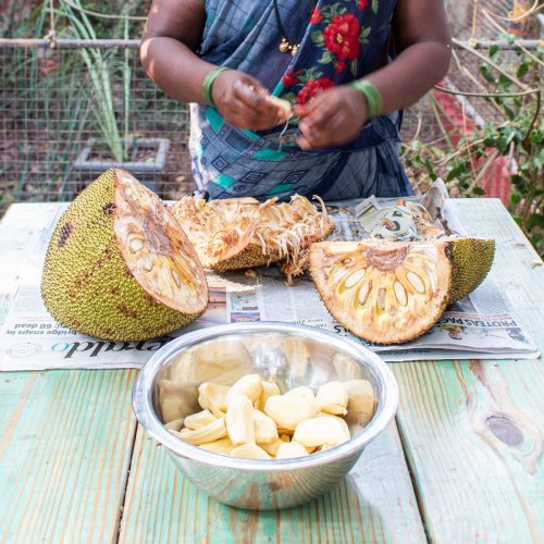 Cutting Jackfruit for the First Time? Avoid These Rookie Mistakes
