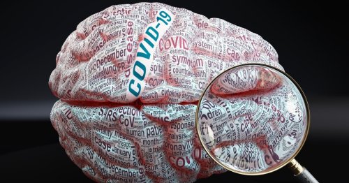 Harvard study links severe COVID with genetic signs of brain aging
