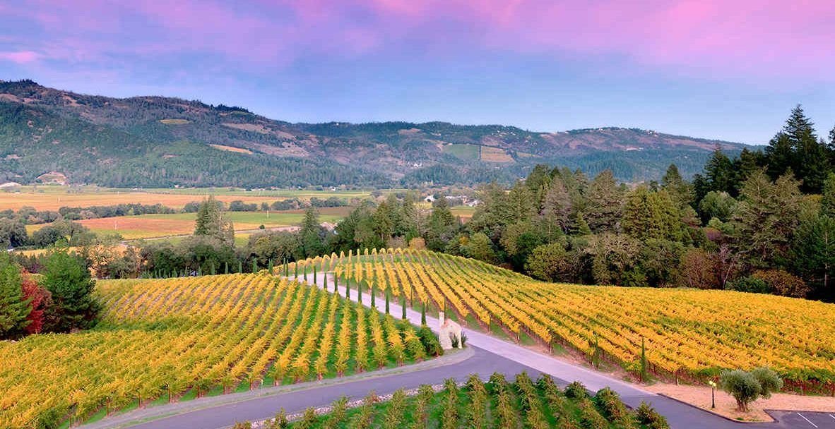 Napa Valley Vs. Sonoma Which One Is Better According To Your Tastes