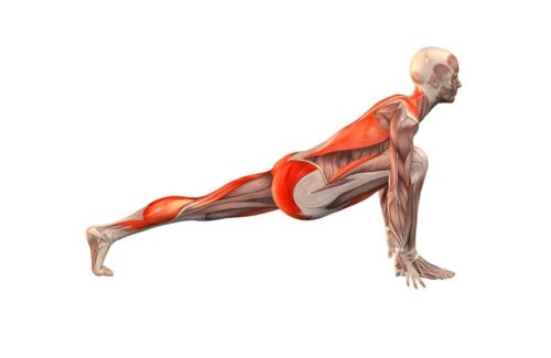 Want to Age Well? Bulletproof Your Hips by Performing This Stretch Daily￼