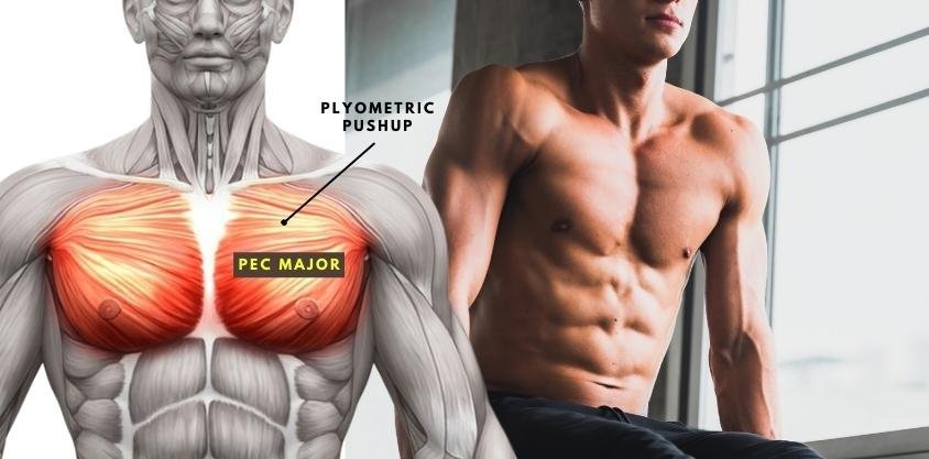 The Best Science-Backed Chest Workout for Mass and Muscle