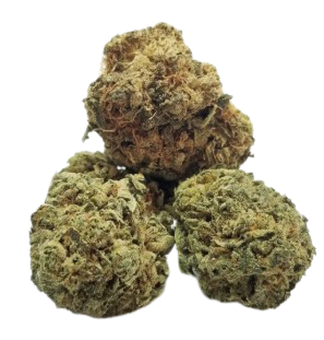 Pure Cannabis Circle cover image