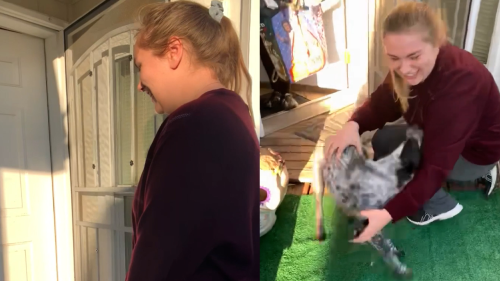 Woman returns after a week to pick her service dog up *HE COULDN'T CONTAIN HIS JOY*