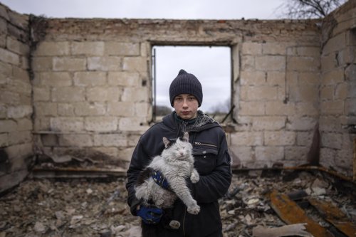 6 Months of War in Ukraine